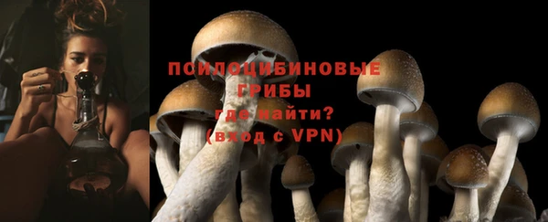 МДМА Осинники