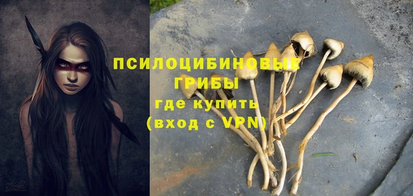 МДМА Осинники