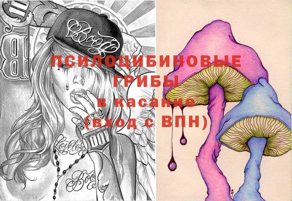 крисы Няндома