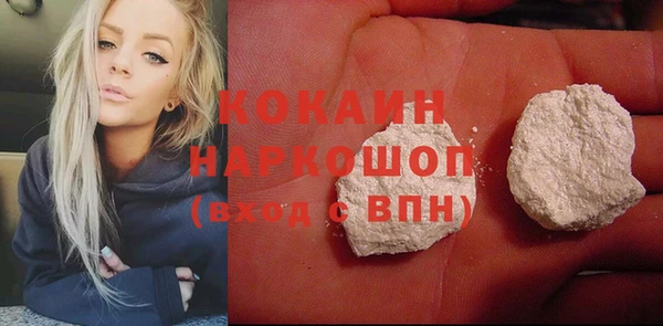 крисы Няндома